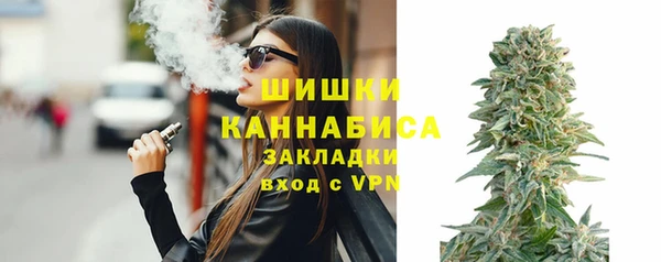амф Арсеньев