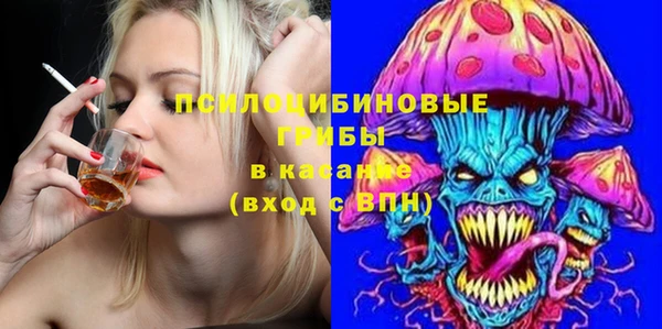 spice Аркадак