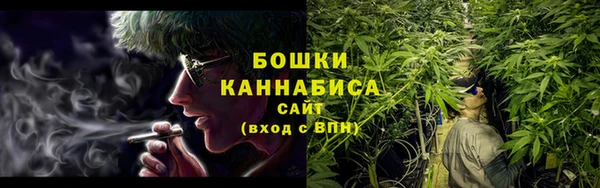 амф Арсеньев